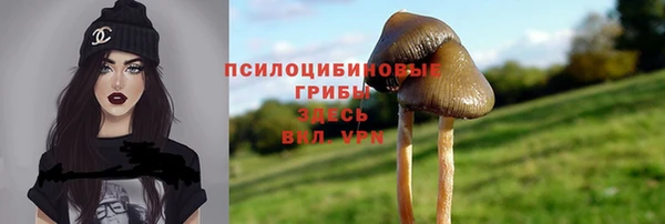 экстази Кукмор