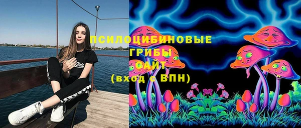 МДПВ Кулебаки
