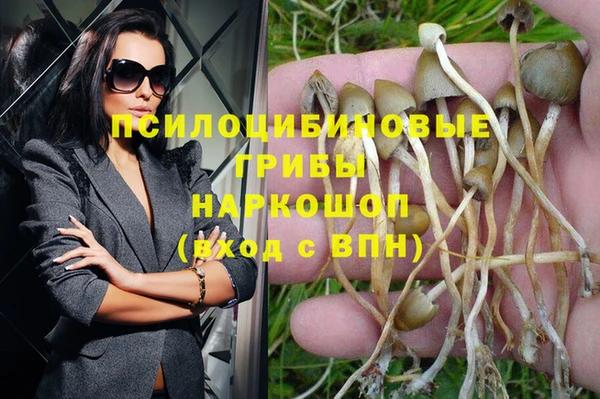 твердый Куйбышев